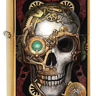 Zippo Lighter: Anne Stokes Steampunk Skull - Brushed Brass 80259